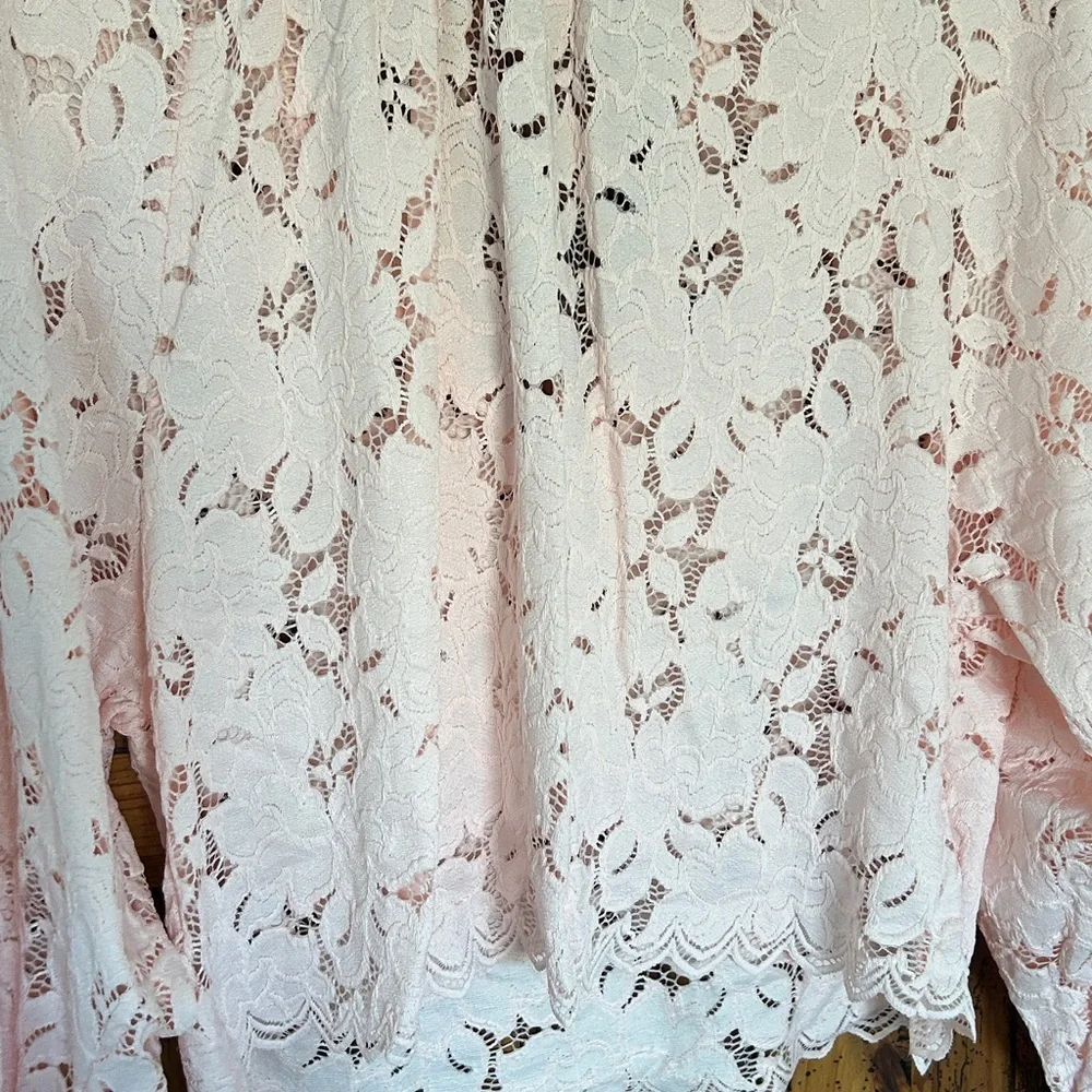 Free People Ballet Pink Olivia Lace Top Blouse